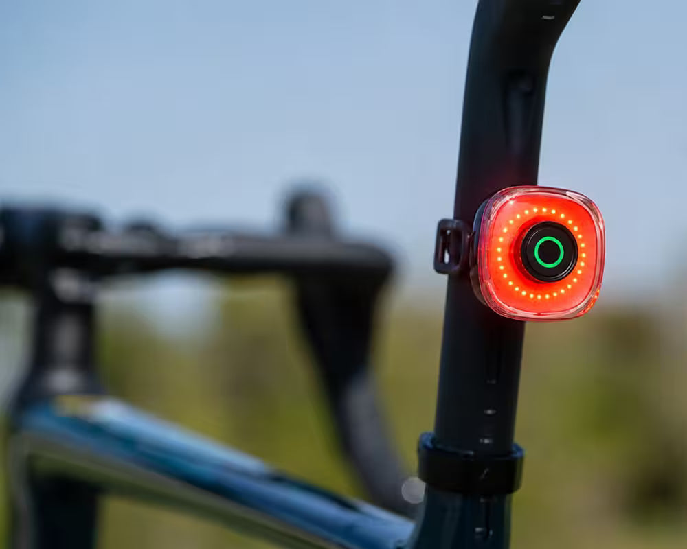 Rear Lights