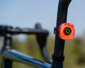 Rear Lights