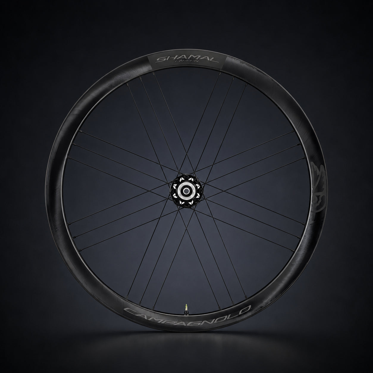 Campagnolo Shamal  Disc Brake Carbon Road Wheelset